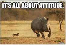 Picture 28 It's all about attitude. Small dog chasing a Rhinoceros